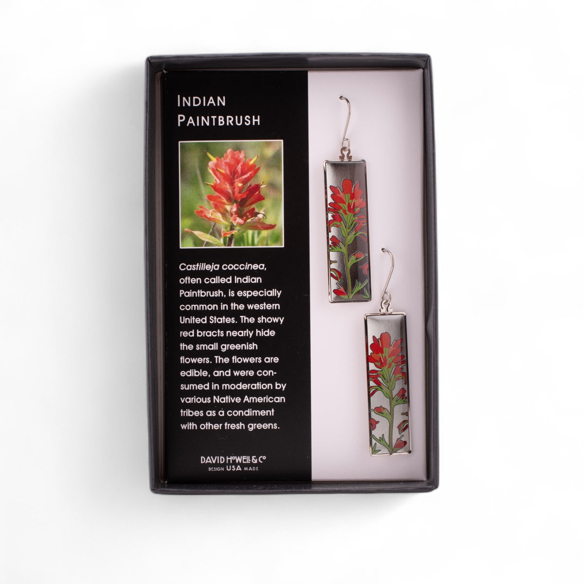 Indian Paintbrush Earrings