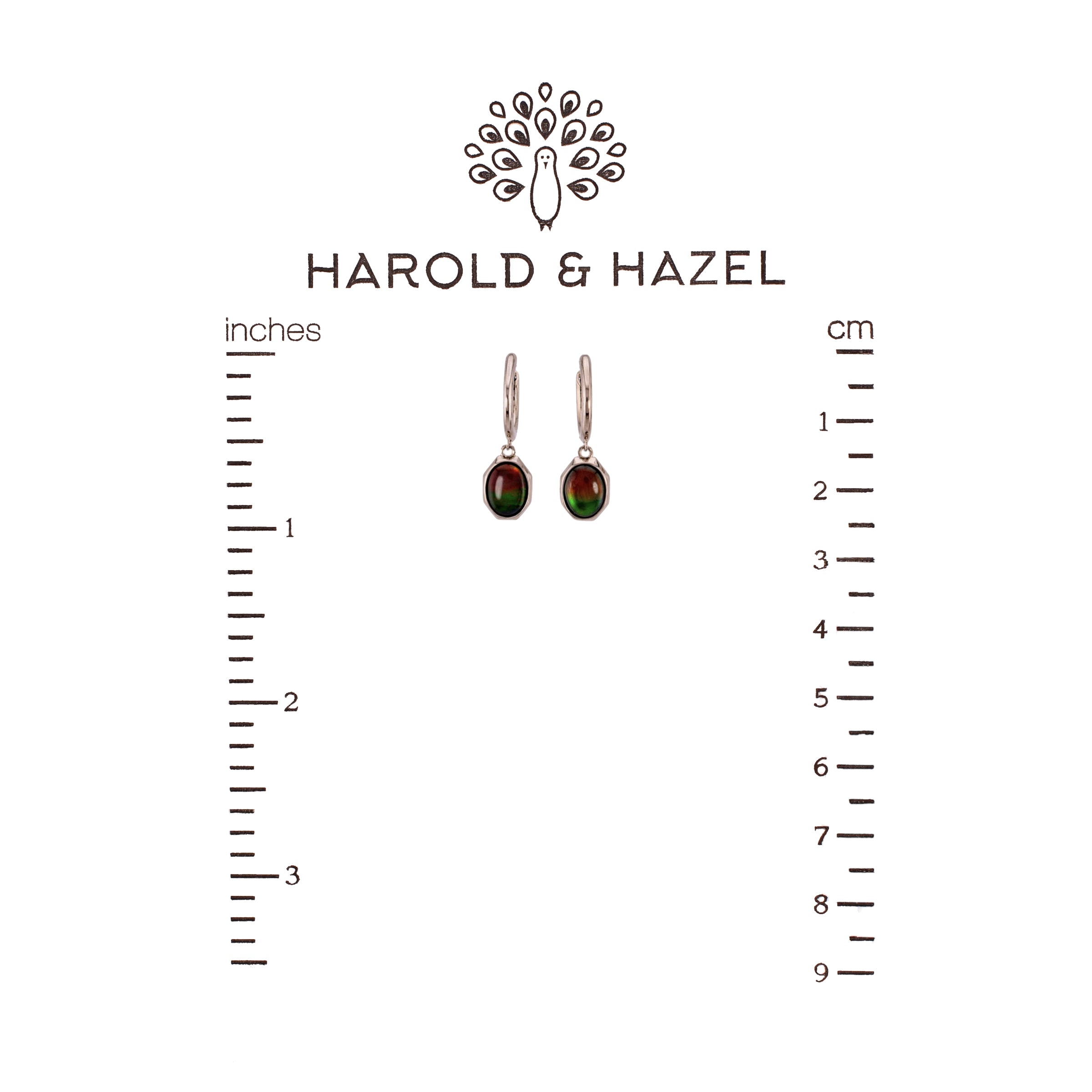 Ammolite Oval Earrings (Final Sale)