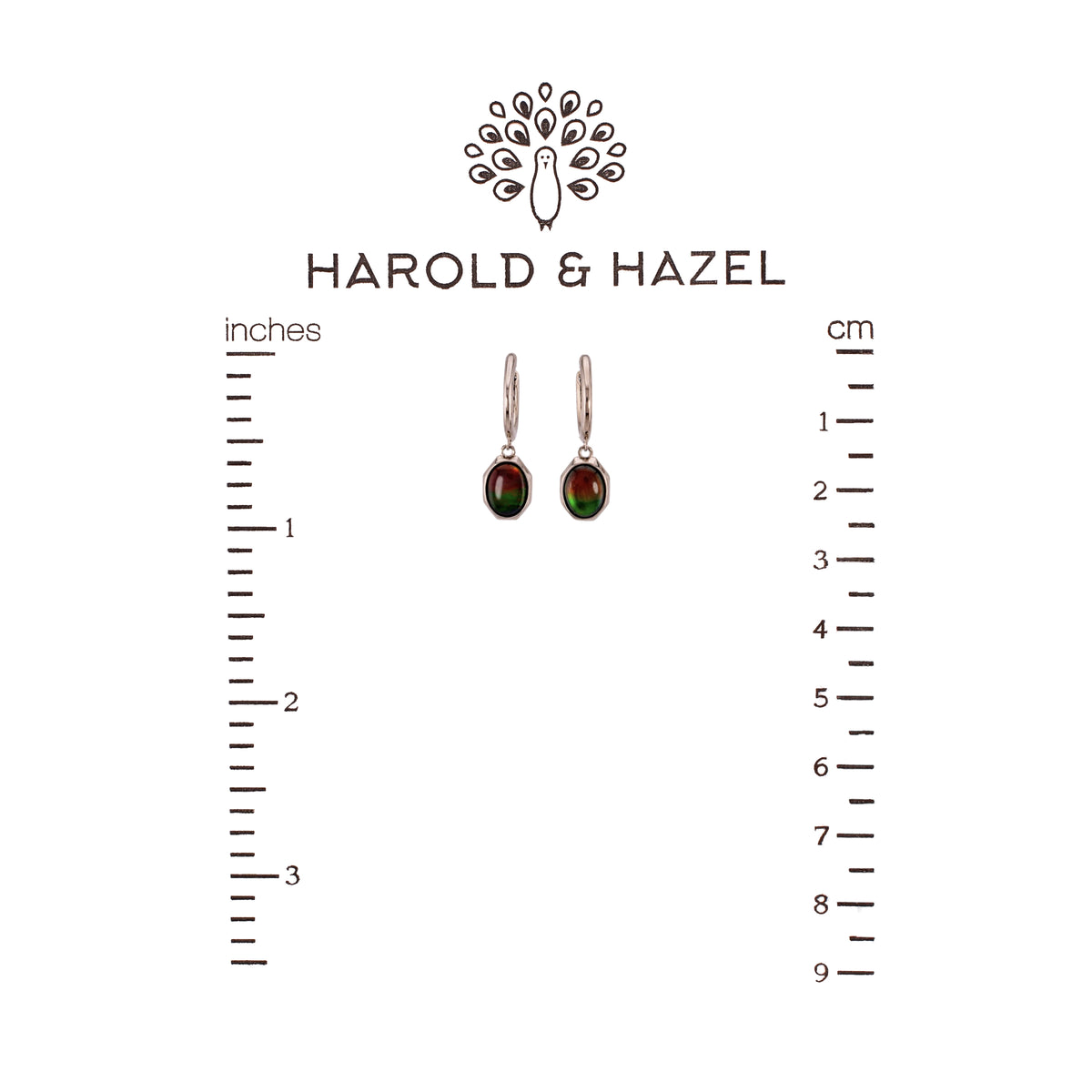 Ammolite Oval Earrings (Final Sale)