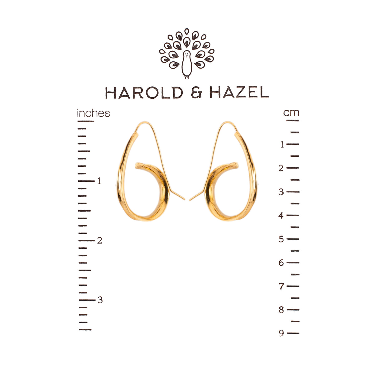 Sweetman Swirl Hoops