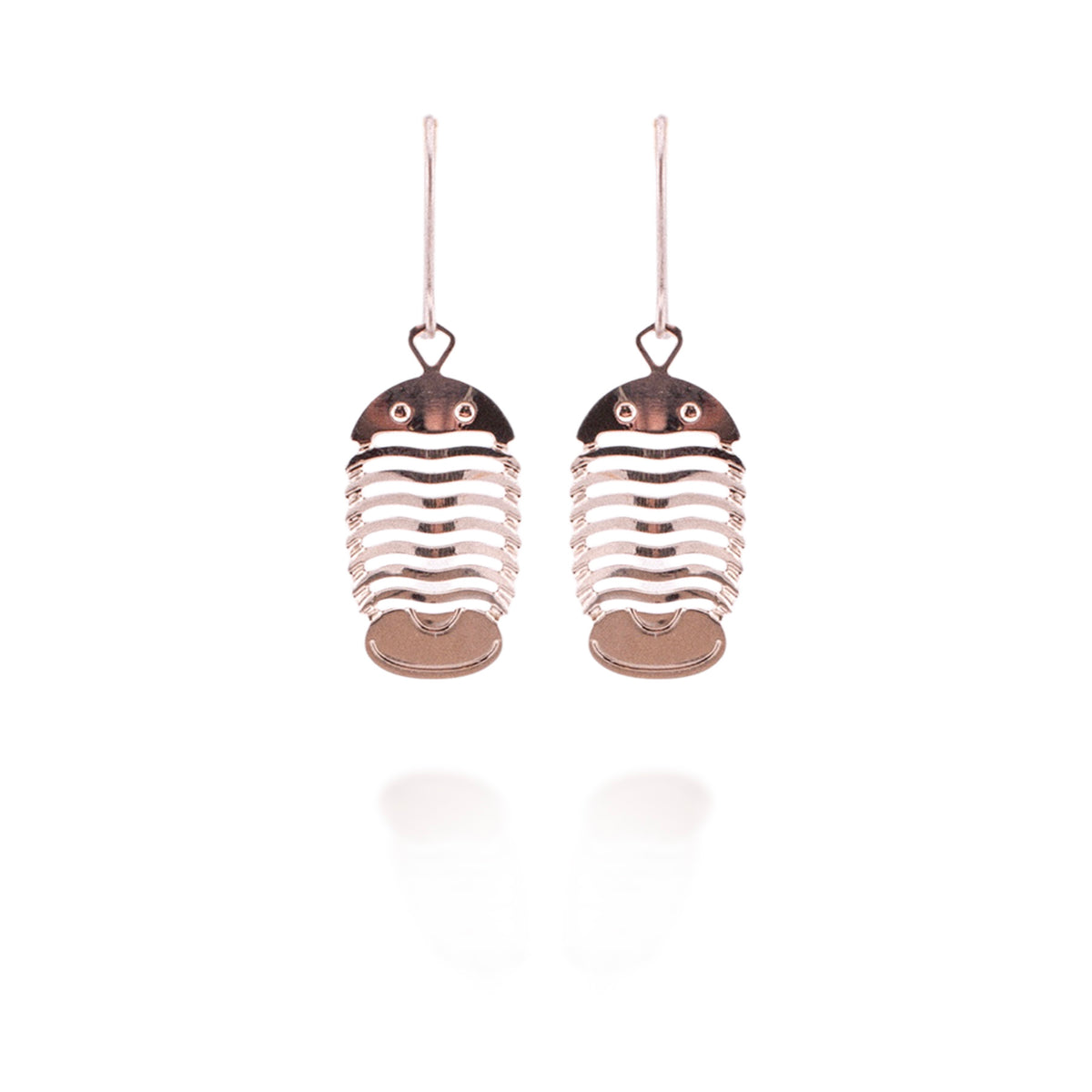 Trilobite Earrings