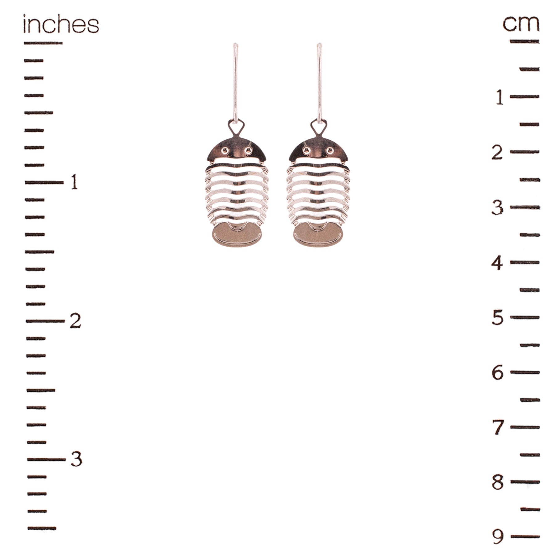Trilobite Earrings