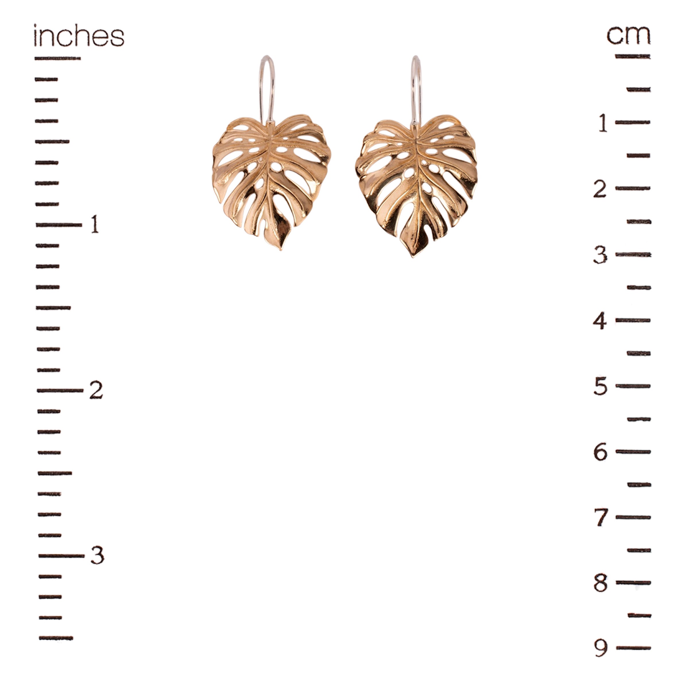 Deliciosa Earrings